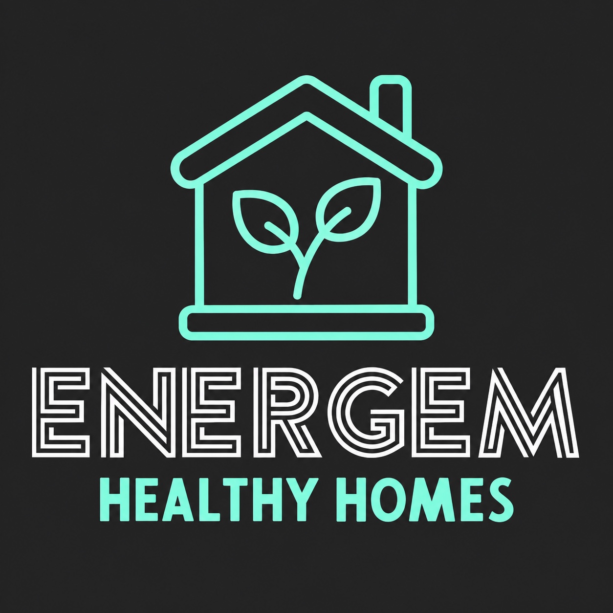 Energem Healthy Homes Ltd logo